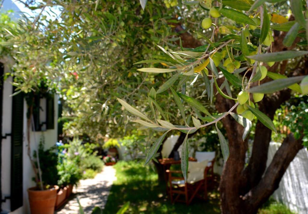 Regina Holiday home *
